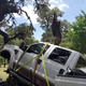 Image for article titled Man Tries Using Tree To Lift Ford Super Duty Cab And It Goes Terribly Wrong